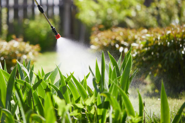 24/7 Emergency Fumigation Services experts in Ford City, PA