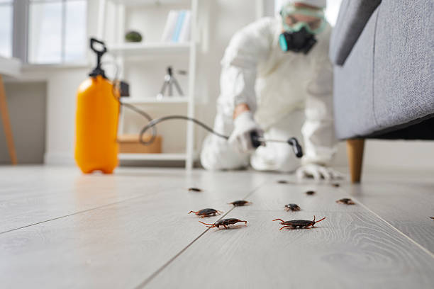 Trusted Termite Control service in Ford City, PA - Nex Pest Control
