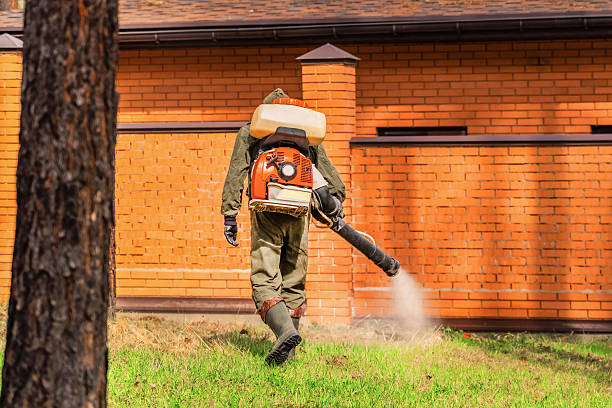 Trusted Emergency Pest Control service in Ford City, PA - Nex Pest Control